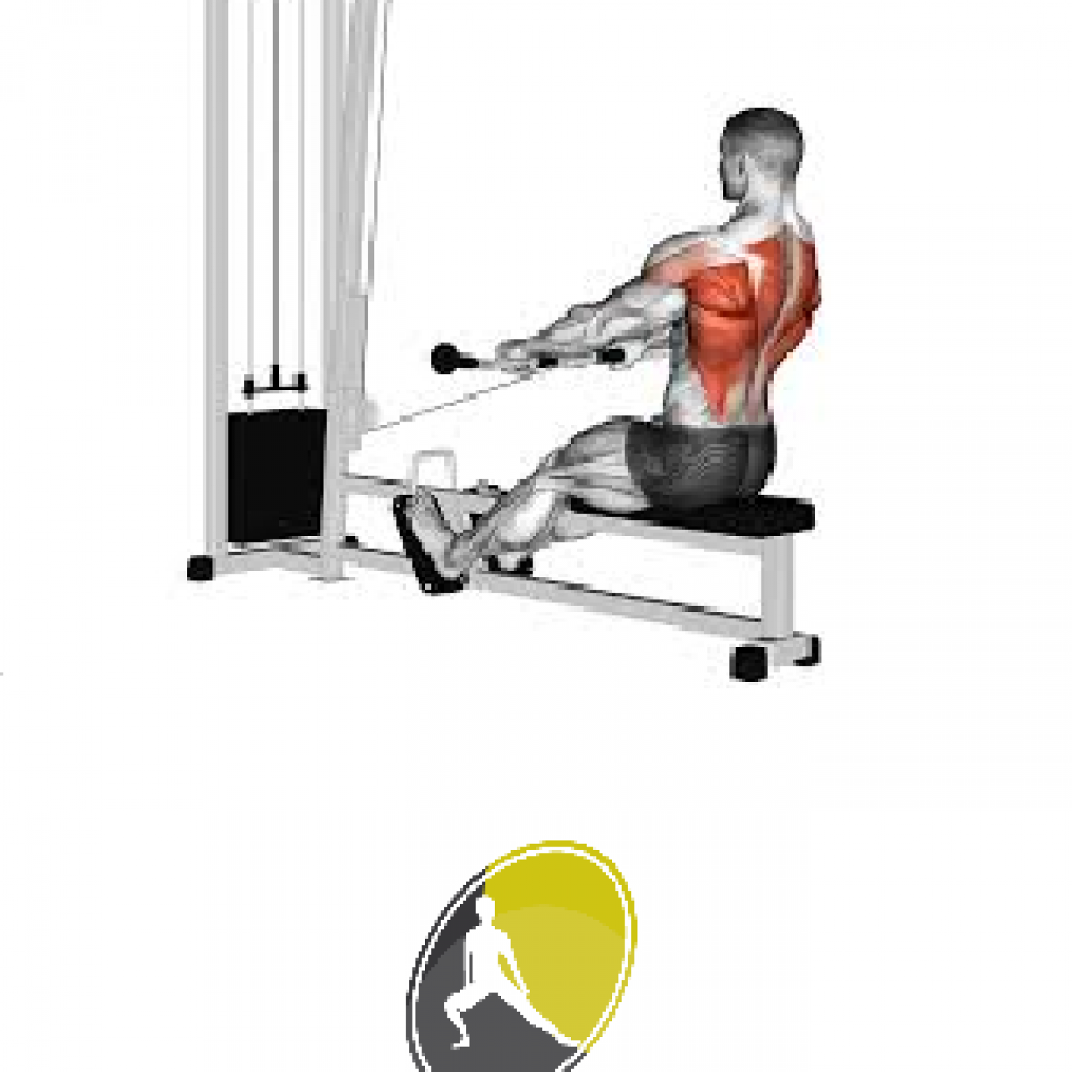 Tirage_assis_musculation_du_dos_coach_sportif_alsace Coach Sportif Perso Strasbourg Brumath